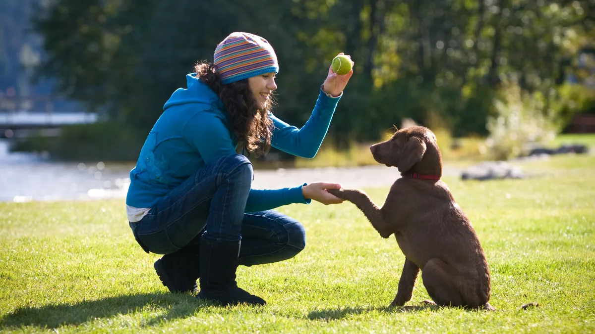 Puppy Training Tips for a Well-Mannered Dog